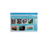 Стенд-планшет светодинамический «Острые отравления животных лекарственными препаратами» - «globural.ru» - Апрелевка