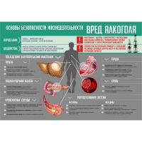Стенд "Алкоголь" - «globural.ru» - Апрелевка