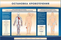 Электрифицированный стенд-тренажер "Остановка кровотечения" - «globural.ru» - Апрелевка