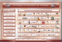 Трехсекционный базовый комплект "Травмы. Кровотечения. Ожоги" для учащихся общеобразовательных учреждений - «globural.ru» - Апрелевка