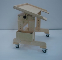 Столик на колесиках для детей с ограниченными возможностями - «globural.ru» - Апрелевка