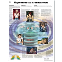 Плакат "Наркотическая зависимость", ламинированный, 50*67 см - «globural.ru» - Апрелевка