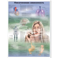 Плакат "Никотиновая зависимость", ламинированный, 50*67 см - «globural.ru» - Апрелевка