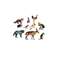 Фланелеграф "Животные степи" - «globural.ru» - Апрелевка