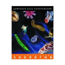 Зоология. Микрофотографии. (Цифровая база изображений) - «globural.ru» - Апрелевка