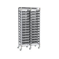 Стеллаж мобильный 2-х секционный для учебных наборов и цифровых лабораторных комплексов SenseDisc - «globural.ru» - Апрелевка