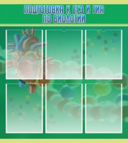 Стенд "Подготовка к ЕГЭ и ОГЭ по биологии" (вариант 1) - «globural.ru» - Апрелевка