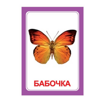 Логопедка "Ч" (логопедические карточки) - «globural.ru» - Апрелевка