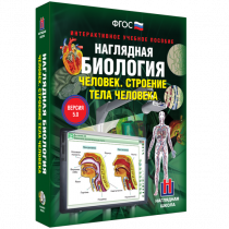 Наглядная биология. Человек. Строение тела человека - «globural.ru» - Апрелевка