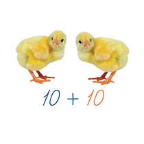 Счетный материал на магнитах "Цыплята". - «globural.ru» - Апрелевка