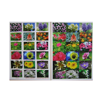 Английское лото "Цветы - травы" - «globural.ru» - Апрелевка