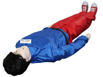 Робот-тренажер "Антон 1.02 К/П" для оказания первой помощи в пути следования - «globural.ru» - Апрелевка