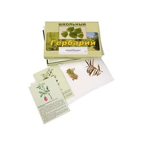 Гербарий "Для начальной школы" (30 видов, с иллюстрациями) - «globural.ru» - Апрелевка