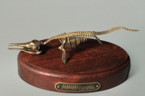 Модель скелета ихтиозавра Ichthyosaurus - «globural.ru» - Апрелевка