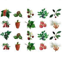 Комплект карточек. Серия наглядных пособий "Запоминай, играй, считай". Ягоды. - «globural.ru» - Апрелевка