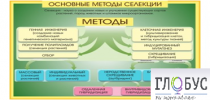 Стенд "Методы селекции и биотехнологии" - «globural.ru» - Апрелевка