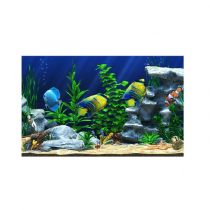 Интерактивный аттракционный комплекс "Водный мир" - «globural.ru» - Апрелевка