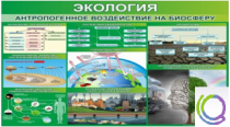 Стенд "Экология. Антропогенное воздействие на биосферу" - «globural.ru» - Апрелевка