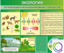 Стенд "Экология. Организация и функционирование сообществ" - «globural.ru» - Апрелевка