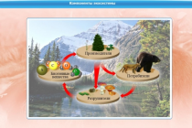 Интерактивные курсы. Биология 7 класс. Базовый - «globural.ru» - Апрелевка