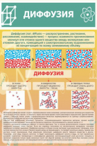 Стенд "Диффузия" - «globural.ru» - Апрелевка