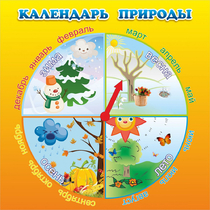 Стенд "Календарь природы" 0.5x0.5 - «globural.ru» - Апрелевка