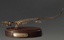 Модель скелета мозазавра Mosasaurus - «globural.ru» - Апрелевка