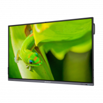 Интерактивный программно-аппаратный комплекс Geckotouch Interactive IP75GT-C в комплекте с настенным креплением - «globural.ru» - Апрелевка