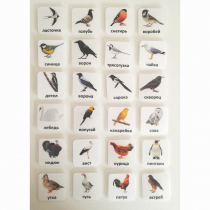 Набор карточек "ПТИЦЫ" - «globural.ru» - Апрелевка
