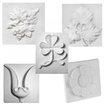 Комплект гипсовых моделей растений  - «globural.ru» - Апрелевка