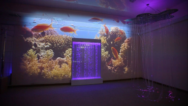 Проекционный дизайн "Виртуальная реальность" расширенный комплект 1000 анимаций - «globural.ru» - Апрелевка