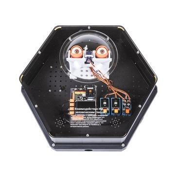 Модуль интерактивный с искусственным интеллектом "Наблюдатель" - «globural.ru» - Апрелевка