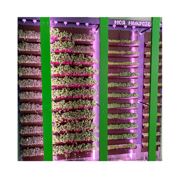Вертикальная ферма "Моя Микрозелень" комплектация Школьная - «globural.ru» - Апрелевка