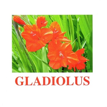 "Flowers-1" ("Цветы-1") английские карточки Домана - «globural.ru» - Апрелевка