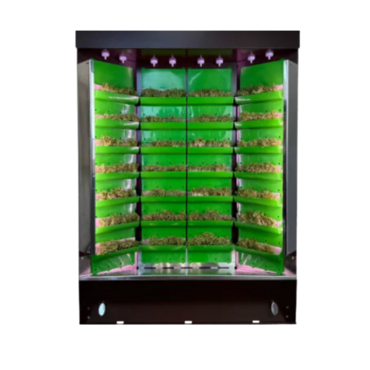 Вертикальная ферма "Моя Микрозелень" комплектация "Театро настольная" - «globural.ru» - Апрелевка