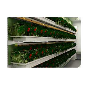 Стеллаж для выращивания клубники "Стена" - «globural.ru» - Апрелевка