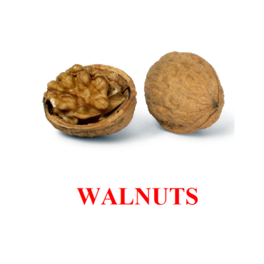 "Berries-Nuts-2" ("Ягоды-Орехи-2") английские карточки Домана - «globural.ru» - Апрелевка