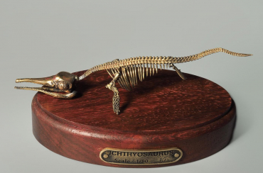 Модель скелета ихтиозавра Ichthyosaurus - «globural.ru» - Апрелевка