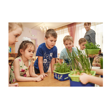 Обучающий комплект экологической направленности "Сити-фермер 2.0 Детский сад" на 30 человек VIP - «globural.ru» - Апрелевка