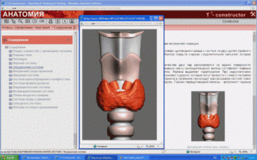 Анатомия онлайн. Школьный атлас - «globural.ru» - Апрелевка