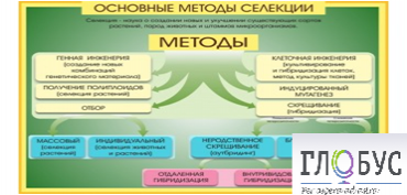 Стенд "Методы селекции и биотехнологии" - «globural.ru» - Апрелевка