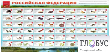 Стенд "Красная книга РФ" - «globural.ru» - Апрелевка