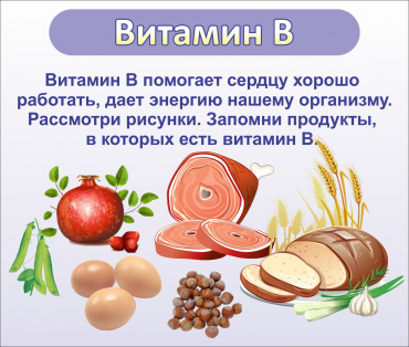 Стенд "Витамин В" - «globural.ru» - Апрелевка