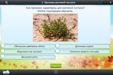 Интерактивные курсы. Окружающий мир 3 класс. Базовый - «globural.ru» - Апрелевка