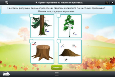 Интерактивные курсы. Окружающий мир 1 класс. Базовый - «globural.ru» - Апрелевка