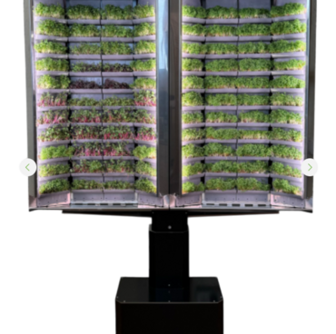 Вертикальная  ферма «Моя микрозелень» комплектация  «Театро настенная» - «globural.ru» - Апрелевка