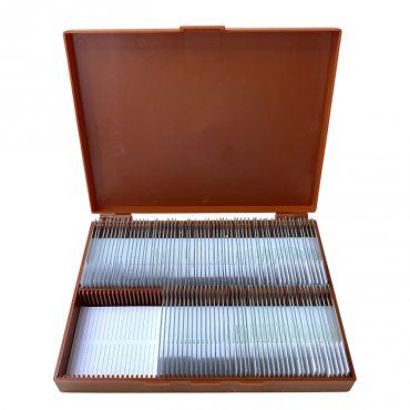 Комплект микропрепаратов по анатомии, ботанике, зоологии, общей биологии - «globural.ru» - Апрелевка