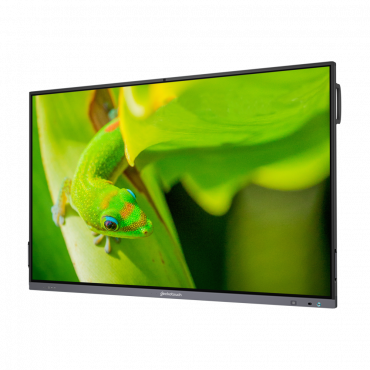 Интерактивный программно-аппаратный комплекс Geckotouch Interactive IP75GT-C в комплекте с настенным креплением - «globural.ru» - Апрелевка