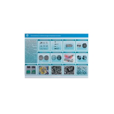 Стенд-планшет светодинамический «Изучение систематики и номенклатуры микроорганизмов» - «globural.ru» - Апрелевка
