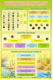 Стенд "Классификация животного мира" - «globural.ru» - Апрелевка